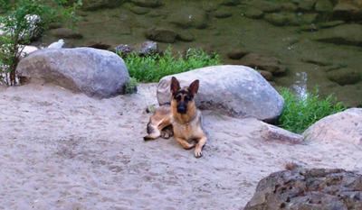 Doing what he likes the most-camping & swimming